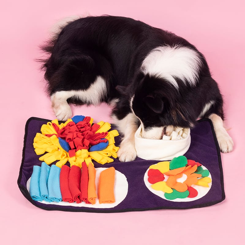 Dog Snuffle Mat – Slow Feeder Puzzle for Anxiety & Enrichment